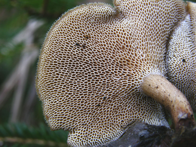 Ritrovamenti del 10 marzo.